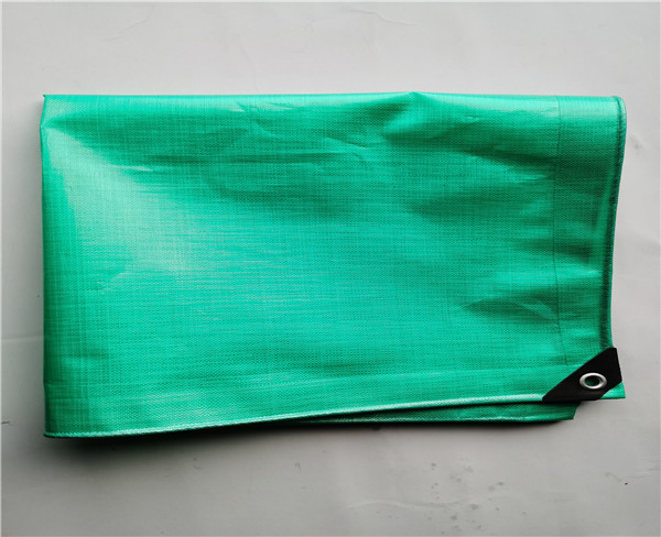 200gPE双果绿塑编篷布